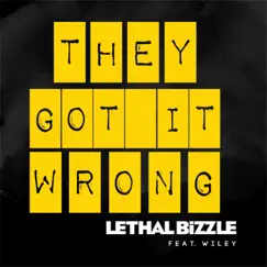 They Got It Wrong (feat. Wiley) [Accapella] Song Lyrics