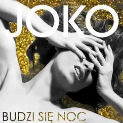 Budzi Się Noc - Single by JOKO album reviews, ratings, credits