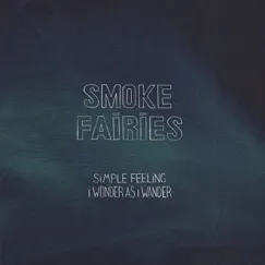 Simple Feeling / I Wonder As I Wander - Single by Smoke Fairies album reviews, ratings, credits