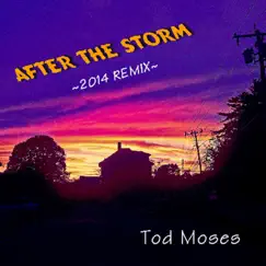 After the Storm (Remix) by Tod Moses album reviews, ratings, credits