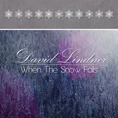 When the Snow Falls by David Lindner album reviews, ratings, credits