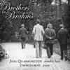 Brothers in Brahms album lyrics, reviews, download