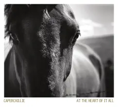 At the Heart of It All by Capercaillie album reviews, ratings, credits