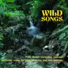 Wild Songs album lyrics, reviews, download