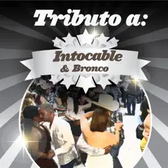 Tributo a Intocable & Bronco by Hernán Carchak Band album reviews, ratings, credits