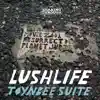 Toynbee Suite - EP album lyrics, reviews, download