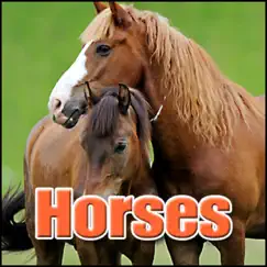 Horses: Sound Effects by Sound Effects Library album reviews, ratings, credits