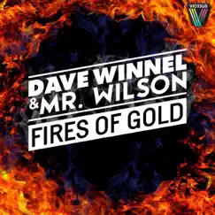 Fires of Gold - EP by Dave Winnel & Mr. Wilson album reviews, ratings, credits