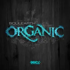 Organic Song Lyrics