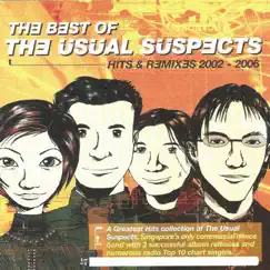 The Usual Suspects: Best of (Hits & Remixes 2002-2006) by The Usual Suspects album reviews, ratings, credits