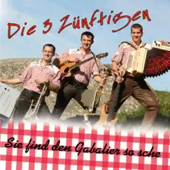 Sie find den Gabalier so sche - Single by Die 3 Zünftigen album reviews, ratings, credits
