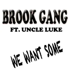 We Want Some (feat. Uncle Luke) - Single by Brook Gang album reviews, ratings, credits