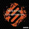 Virtualization - Single album lyrics, reviews, download