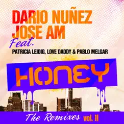 Honey - The Remixes, Vol. 2 (feat. Patricia Leidig, Love Daddy & Paul Melgar) - Single by Dario Nuñez & Jose Am album reviews, ratings, credits