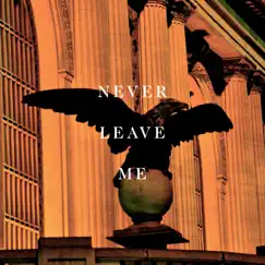 Never Leave Me (Vinjette Remix) - Single by Karl X Johan album reviews, ratings, credits