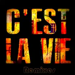 C'est la vie (Pure Oriental Remix) Song Lyrics