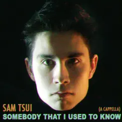 Somebody That I Used To Know (A Cappella Version) Song Lyrics