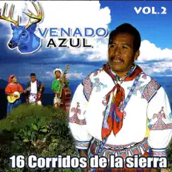 Caminos De Michoacan Song Lyrics