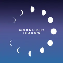 Moonlight Shadow (Remix) [Radio Edit] Song Lyrics