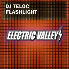 Flashlight (Original Mix) Song Lyrics