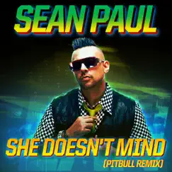 She Doesn't Mind (Pitbull Remix) Song Lyrics
