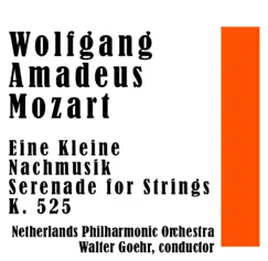 Eine Kleine Nachmusik Serenade for Strings K. 525: III. Menuetto, Allegretto Song Lyrics