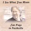 I See What You Mean (Jim Page in Nashville) album lyrics, reviews, download
