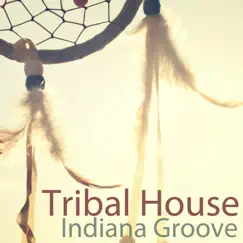 Indiana Groove by Various Artists album reviews, ratings, credits
