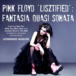 Pink Floyd Lisztified: Fantasia quasi sonata - Single by Aysedeniz Gokcin album reviews, ratings, credits