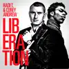 Liberation - Single album lyrics, reviews, download