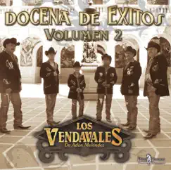 Docena De Exitos (Volumen 2) by Los Vendavales de Adán Meléndez album reviews, ratings, credits