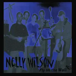 Fly On the Wall by Nelly Wilson album reviews, ratings, credits