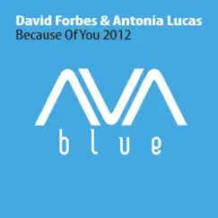 Because of You 2012 (Remixes) - EP by David Forbes & Antonia Lucas album reviews, ratings, credits