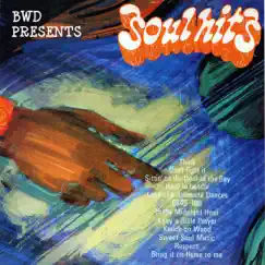 BWD Presents Soul Hits by BWD Orchestra album reviews, ratings, credits