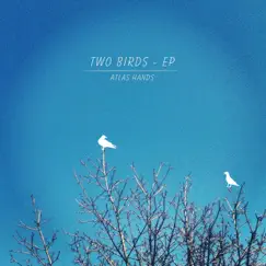 Two Birds - Single by Atlas Hands album reviews, ratings, credits