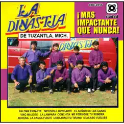 La Lámpara Song Lyrics