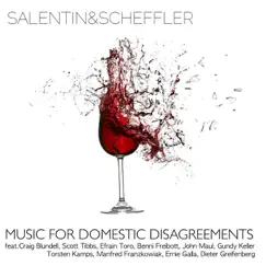 Music for Domestic Disagreements by Salentin & Scheffler album reviews, ratings, credits