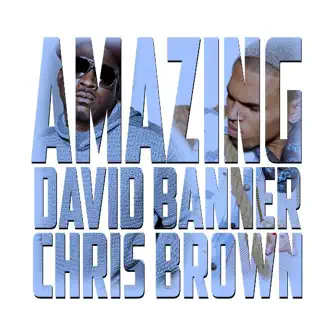 Amazing (feat. Chris Brown) - Single by David Banner album download