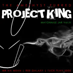 Amethyst Furred Project King by Mr NaMeanReeGalaxyTuckFlav5000 album reviews, ratings, credits