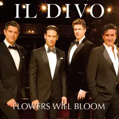 Flowers Will Bloom - Single by Il Divo album reviews, ratings, credits