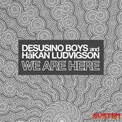 We Are Here - EP by Desusino Boys & Hakan Ludvigson album reviews, ratings, credits
