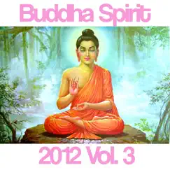 Buddha Spirit 2012, Vol. 3 (The Best Lounge Hotel And Chill-Out Bar Music) by Fly Project album reviews, ratings, credits