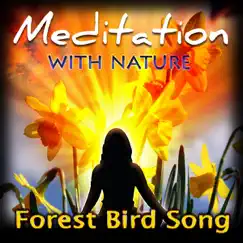 Forest Bird Song by Brogue album reviews, ratings, credits