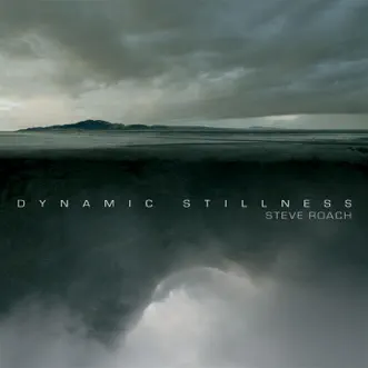 Dynamic Stillness by Steve Roach album download