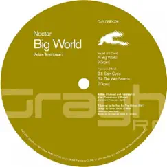 Big World - Single by Nectar album reviews, ratings, credits