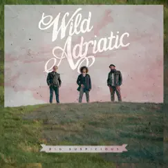 Big Suspicious by Wild Adriatic album reviews, ratings, credits