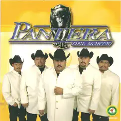 Sueño Divino by Pantera Del Norte album reviews, ratings, credits
