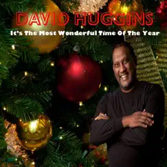 It's the Most Wonderful Time of the Year - Single by David Huggins album reviews, ratings, credits