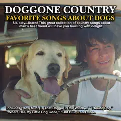 Dog Song Lyrics