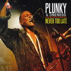 Never Too Late by Plunky & Oneness album reviews, ratings, credits